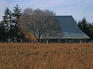 Barn Along Old Olympic Hwy North of Sequim