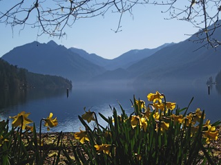 Spring Morning at Lake Crescent