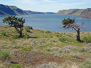 Columbia River From Hill Beside Twin Sisters Rock