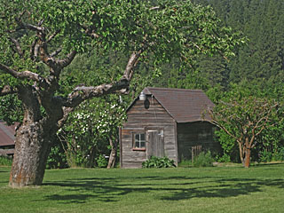 Rustic Outbuilding at Roslyn, Washington