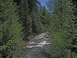 Gale Creek, Wenatchee National Forest